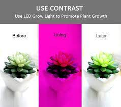 Before you go out and purchase your new, more efficient t5 grow light, there's another, even newer option you will want to consider. Plant Growth Lamp Belt Dc 12v 60led Resin Waterproof Hight Brightness 5050 Led Strip Light For Aquarium Greenhouse Plant Growing Plant Growth Lamp Growth Lamplighting For Aquarium Aliexpress