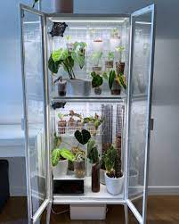 An old curio cabinet was turned into a hexagonal greenhouse, which has hexagonal or you can say honeycomb patterns. Hello This Doc Is Meant To Guide You Through How To Recreate My Exact Ikea Greenhouse Cabinet Setup As O In 2021 Indoor Greenhouse Plant Decor Indoor Ikea Greenhouse