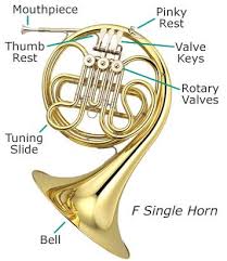 7 french horn lines you´ve heard accompanied by lord vinheteiro's piano. French Horn French Horn Brass Instrument All Music Instruments