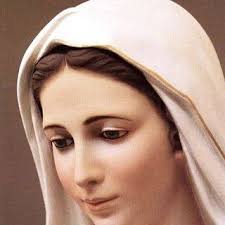 Sophia Girls College Ajmer