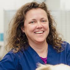 Veterinarian In Williston, VT 05495