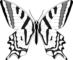 Butterfly wings clipart set includes: Simple Line Art Butterfly Novocom Top