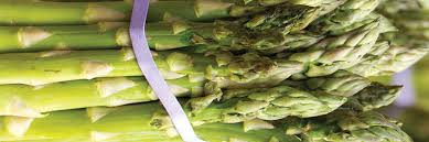 Foxtail asparagus ferns have an unusual, symmetrical look. Asparagus Seeds Asparagus Crowns Johnny S Selected Seeds