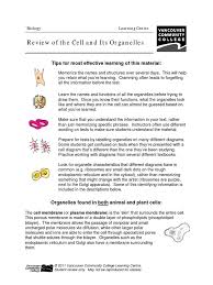 We did not find results for: Review Of The Cell And Its Organelles Endoplasmic Reticulum Cell Biology