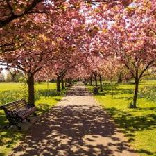 Die innenstadt von münchen ist ziemlich groß. Individuelle Gartenreise Durch Sudengland Hier Buchen Btco