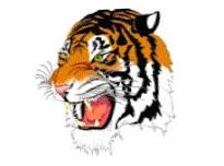 New Diana Girls Varsity Volleyball @ Daingerfield