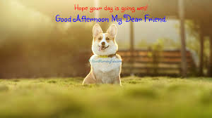 Good night. 50th of 66 good night texts. Funny Good Afternoon Quotes For Friends Good Morning Fun