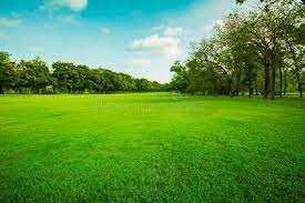 Huge collection, amazing choice, 100+ million high quality, affordable rf and rm images. 6 573 976 Grass Photos Free Royalty Free Stock Photos From Dreamstime