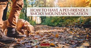 We did not find results for: How To Have A Pet Friendly Smoky Mountain Vacation