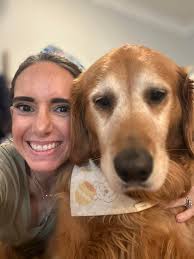 Introduction of pet dogs in the Golden Retriever Community