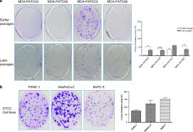 Colony-formation assay of MDA-PATC43, 50, 53, and 66 and control ATCC... |  Download Scientific Diagram