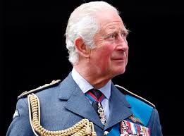 Does Prince Harry Fact Check The Crown? He Says…