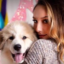 Anyone provide vending machines in Allentown PA?