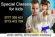 Ashen Martial Arts Academy... - Ashen Martial Arts Academy