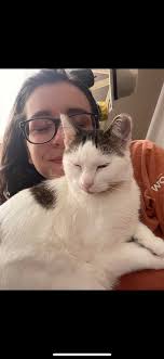 Lost cat found in Reynoldsville near One Stop gas station