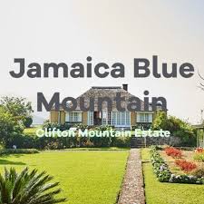 Check spelling or type a new query. Jamaican Blue Mountain Coffee Reviews Where To Buy Scams To Avoid
