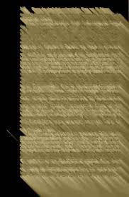 Image result for Anthericopsis sepalosa