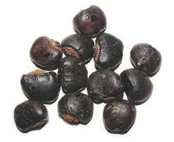Image result for Anacardium