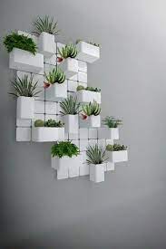 Dónde colocar la decoración con plantas. Cactus En Las Paredes Decoracion Plantas Jardines Verticales Jardineria Vertical