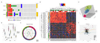 Résultat de recherche d'images pour "The Visualization Toolkit"