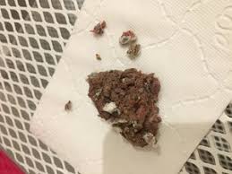 Wenn die katze sonst fit ist, ohne jegliche symptome und es nur wenig blut im stuhl war, ist das in der regel kein problem, es kann beim kotabsatz schon einmel ein gefass aufgehen, es darf dann aber nicht mehr vorkommen. Hilfe Minimal Blut Im Stuhl