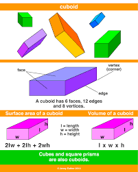 Image result for Cuboid