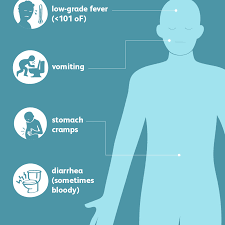 E. Coli: Symptoms, Diagnosis, And Treatment