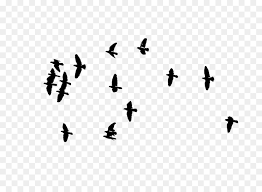 Search and download free hd bird group png images with transparent background online from in the large bird group png gallery, all of the files can be used for commercial purpose. Bird Line Drawing Png Download 1280 917 Free Transparent Bird Png Download Cleanpng Kisspng