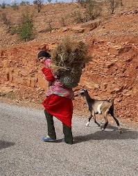 Retour A La Maison Maroc Morroco Traveling By Yourself Morocco