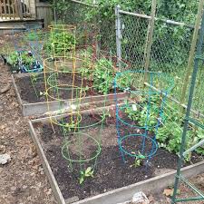 Best described as rusty wire work for the garden, the plant supports are made either from steel wire which rusts naturally, or galvanized if that is what is preferred. Conical Plant Support Keep Vine Plants Shrub Flowers Growing Healthy