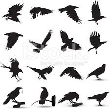 Raven Silhouette Raven Tattoo Bird Silhouette Silhouette Tattoos