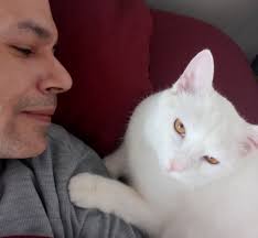 I'm trying to convince my husband to get a fourth cat. Put him in this  picture, I'll send it to him when he's at work and see how he reacts 😁