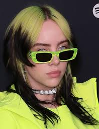 Mar 13, 2011 · yeah she calls skunk hair that funky hair that stinks. Skunk Hair Two Tone Hair Color Looks Ipsy
