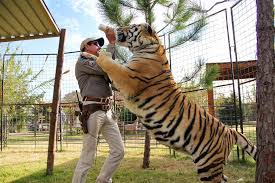 Homegirl got her arm ripped off by a tiger and joe exotic's first move was to throw on the ems bomber. Tiger King Cast Says Justice Was Served For Joe Exotic Plus More Revelations From New Special
