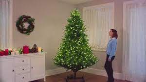 Grow Stow Tree With Multicolor Lights Youtube