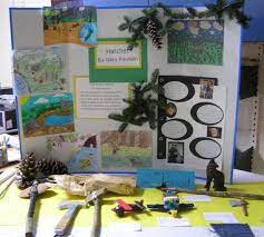 Hatchet Projects Hatchet Novel Study Hatchet Book Activities Hatchet Novel