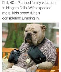 We did not find results for: Funny Memes For Profile Pictures Novocom Top