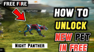 Bestpetff #bestpet #freefirebestpet #pandavspanther #poring best pet in free fire free fire pet fight free fire best best best pet for. How To Get New Pet Night Panther In Free Fire For Free Youtube