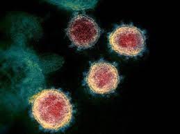 Aniron ~ vacinados covid e a contaminação do sangue ~ update maio. Variante Indiana Maga Cnr Il Vaccino Funziona E Piu Contagiosa Ma Non Preoccupa Corriere It