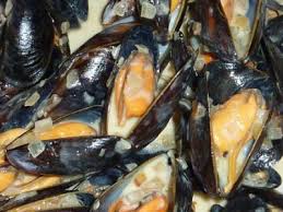 Epingle Sur Poissons