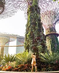 Gardens By The Bay Singapore Singapore Garden Singapore Photos Gardens By The Bay