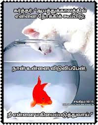 Pin On Bible Verses In Tamil