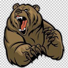 Polar Bear Brown Bear Grizzly Bear Png Clipart Animal Bear Big Cats Carnivoran Cartoon Free Png Downl Bear Face Drawing Grizzly Bear Drawing Bear Drawing