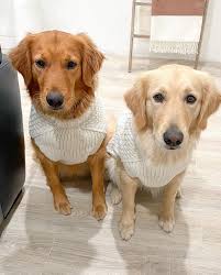 Mila & Bailey Vargas (@beats.by.mila.and.bailey) • Instagram photos and  videos