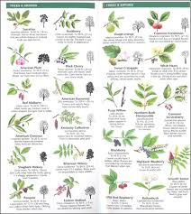 Check spelling or type a new query. Ohio Trees Wildflowers Waterford Press 9781583554159
