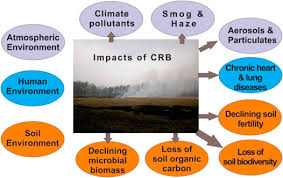 45 pest management prior to the 2nd world war several approaches 1.manual and physical control methods 2.cultural control 3.biological control 4. Frontiers Nexus Between Crop Residue Burning Bioeconomy And Sustainable Development Goals Over North Western India Energy Research