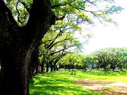 Diliman the dubious distinction as one of the top ten romantic places in metro manila in a short article, hot in the city: Sunken Garden Up Diliman Philippines Mapio Net