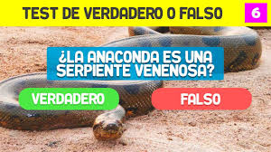 Verdadero, me da seguridad, lo cierto es que no se puede tener todo bajo control todo el tiempo hay cosas que se escapan de nuestras manos. Preguntas De Verdadero O Falso Test De Verdadero O Falso 6 Youtube