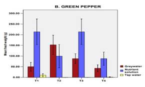 Here is a project to test whether greywater (water that has been used for washing or bathing) can be used for watering ornamental plants. Gray Water Is It Safe For The Garden Garden Myths