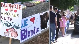 Community Mourns Monrovia Mama Bear Euthanized After Attack